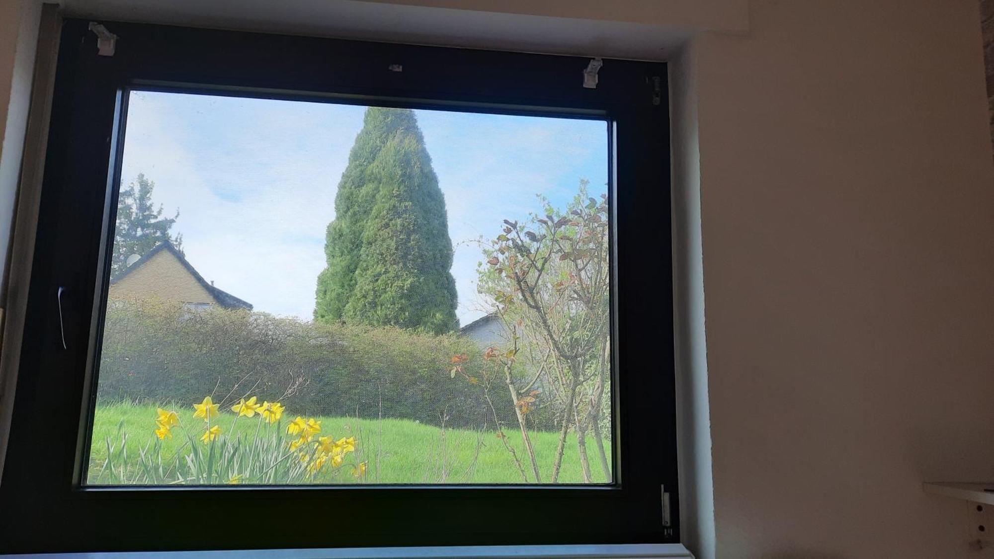 Kleine Ferienwohnung In Ruhiger Lage Herzogenrath Eksteriør billede